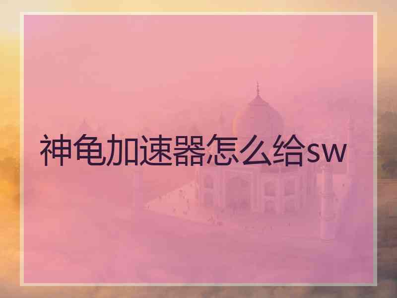 神龟加速器怎么给sw