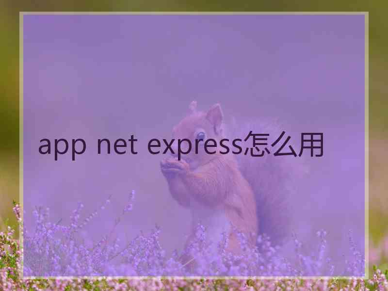 app net express怎么用