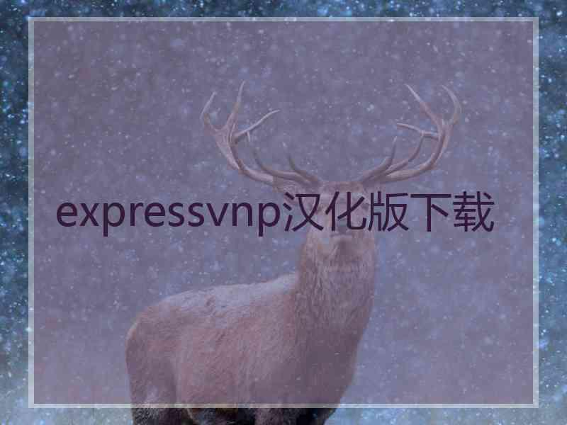 expressvnp汉化版下载