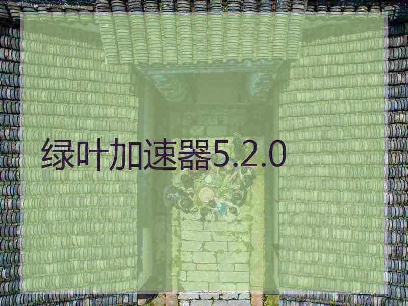 绿叶加速器5.2.0