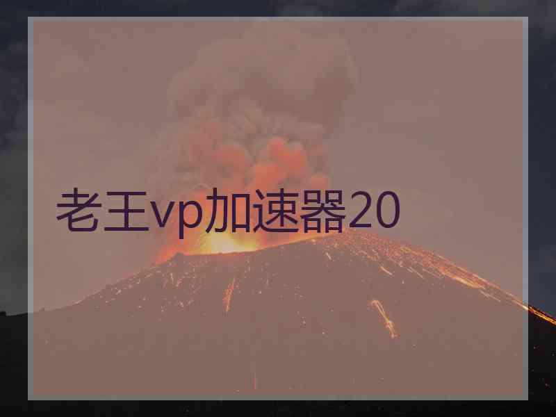 老王vp加速器20