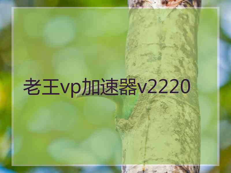 老王vp加速器v2220