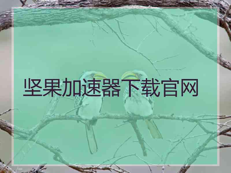 坚果加速器下载官网