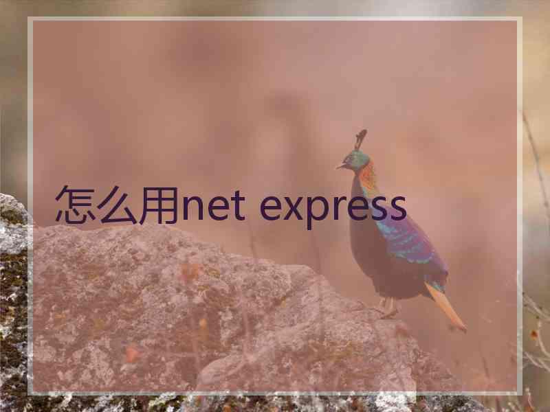 怎么用net express