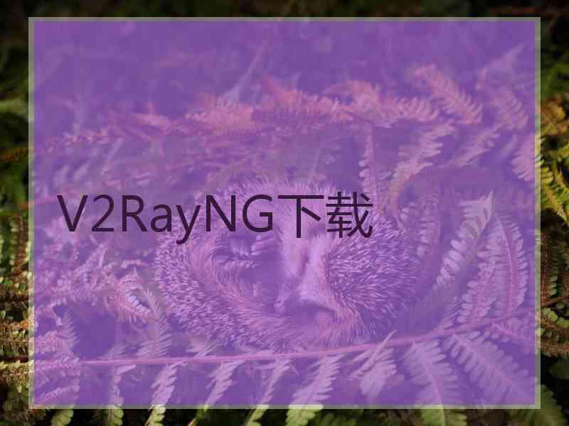 V2RayNG下载