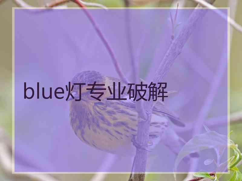 blue灯专业破解