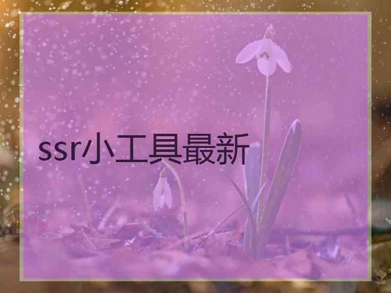 ssr小工具最新