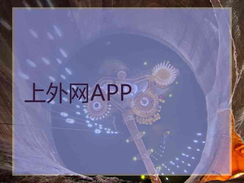 上外网APP