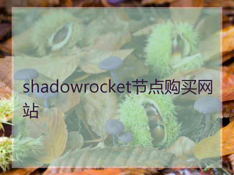 shadowrocket节点购买网站