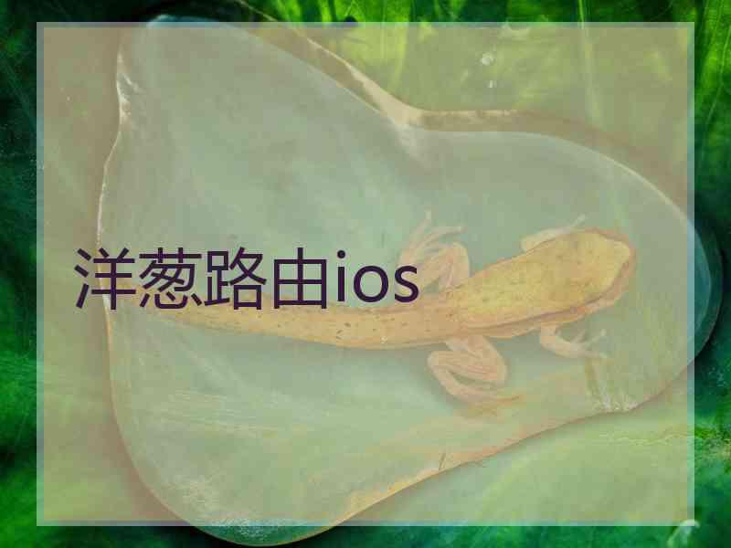 洋葱路由ios