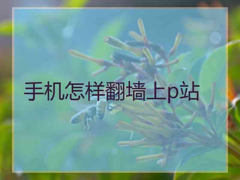 手机怎样翻墙上p站