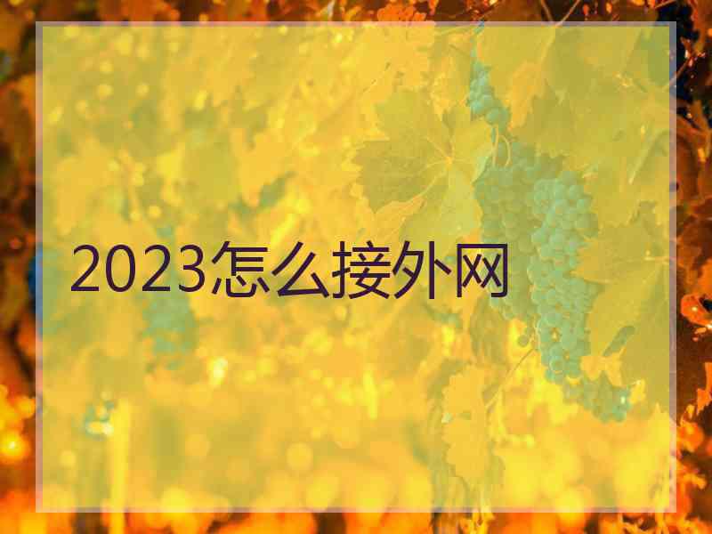 2023怎么接外网