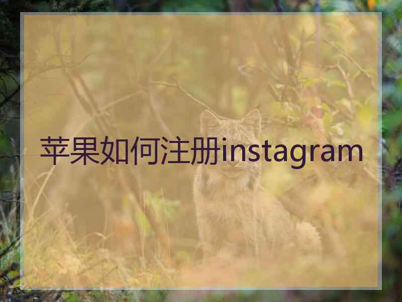 苹果如何注册instagram