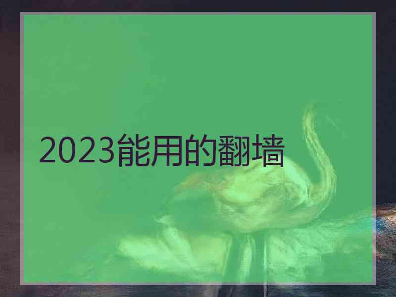 2023能用的翻墙