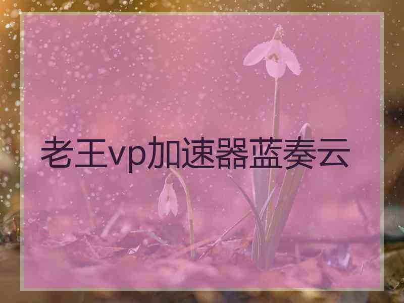 老王vp加速器蓝奏云