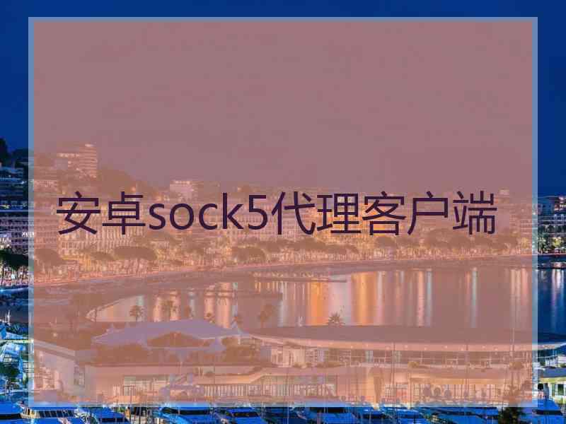 安卓sock5代理客户端