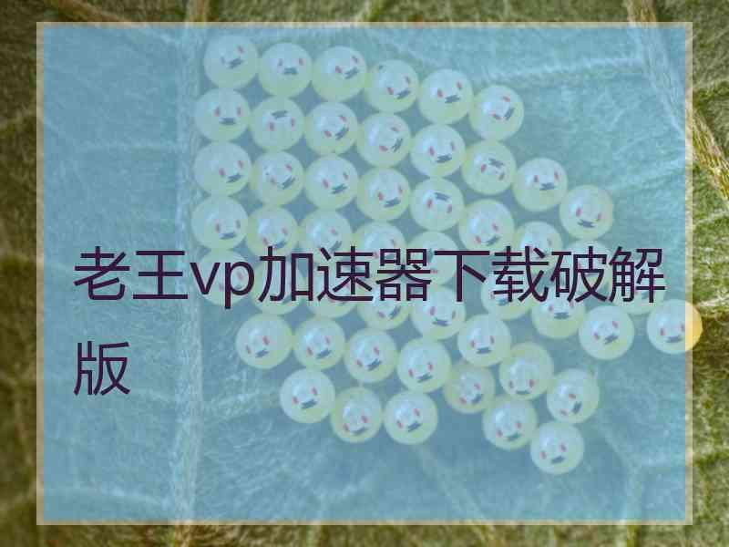 老王vp加速器下载破解版