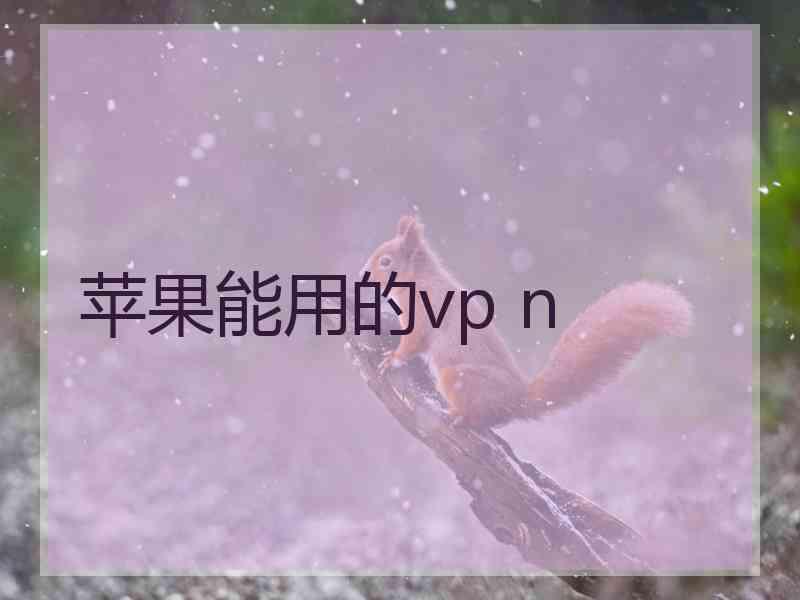 苹果能用的vp n