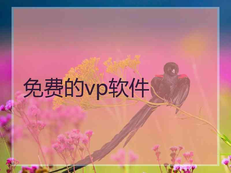 免费的vp软件