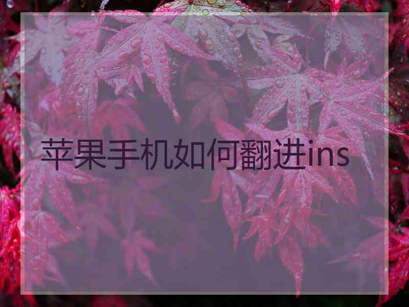 苹果手机如何翻进ins