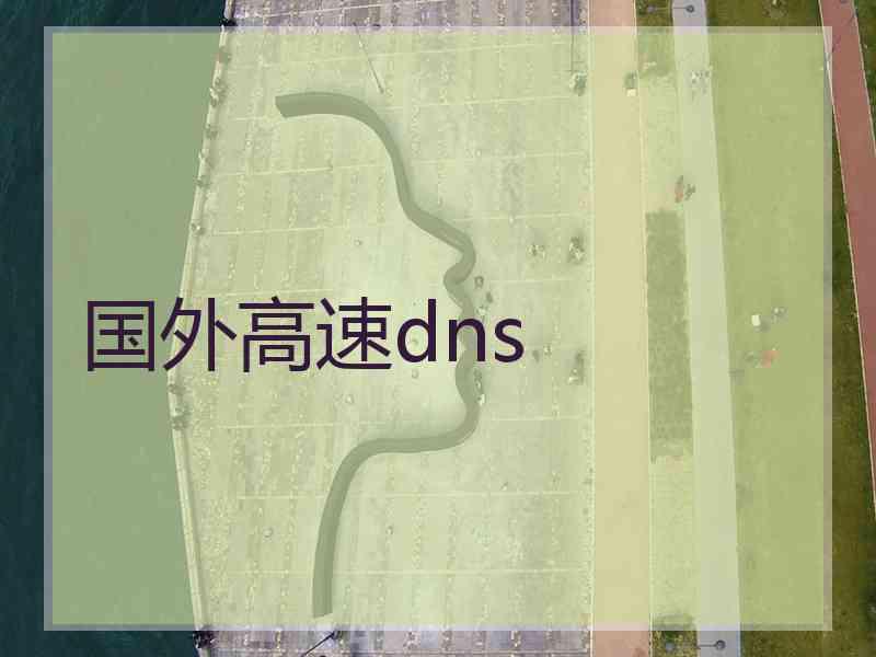 国外高速dns