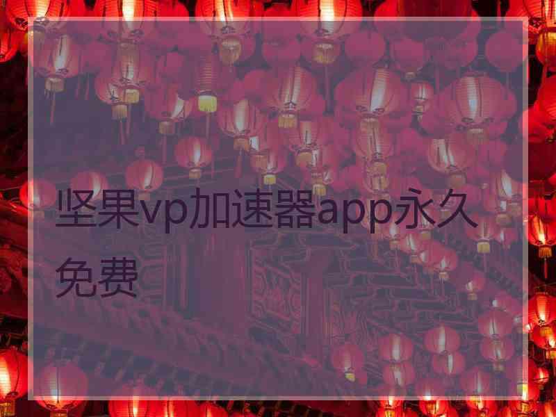 坚果vp加速器app永久免费