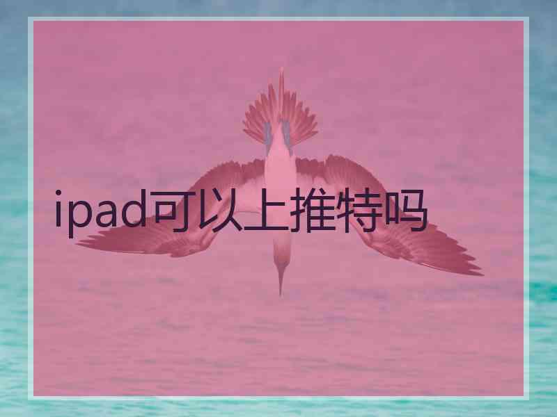 ipad可以上推特吗