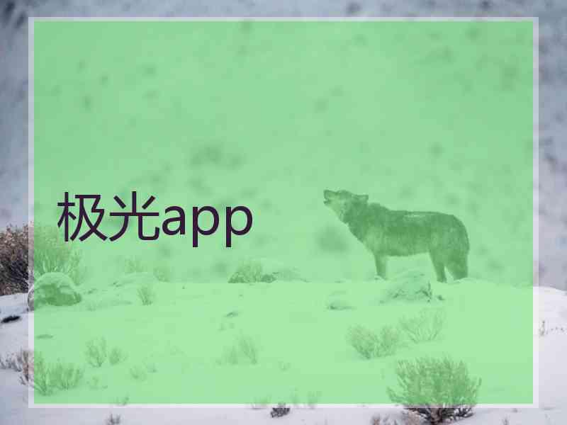 极光app