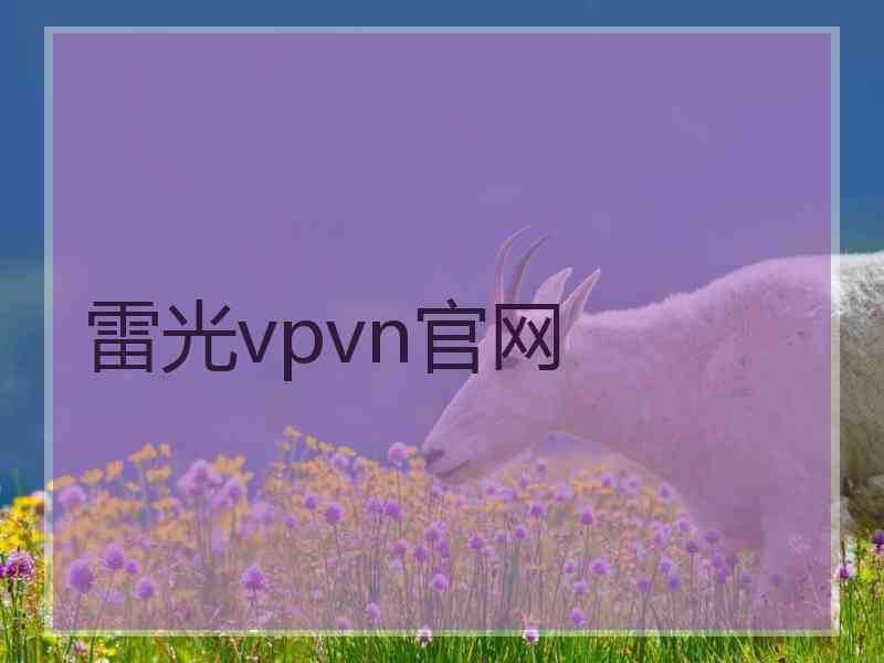 雷光vpvn官网