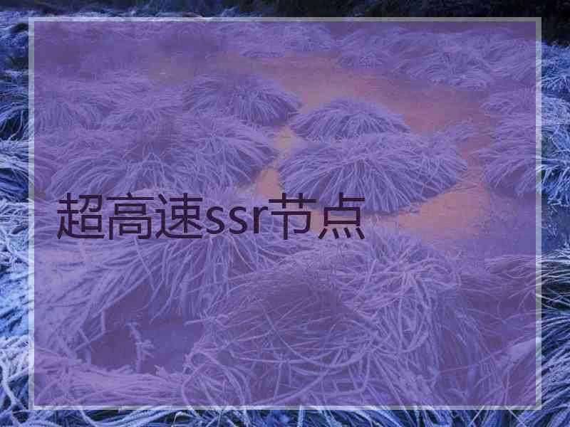 超高速ssr节点