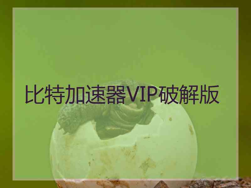 比特加速器VIP破解版