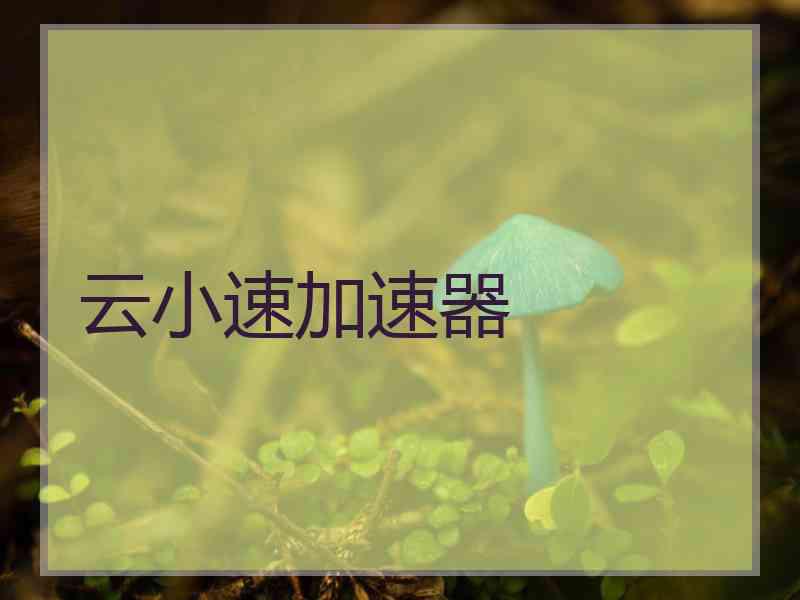 云小速加速器