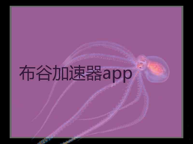 布谷加速器app