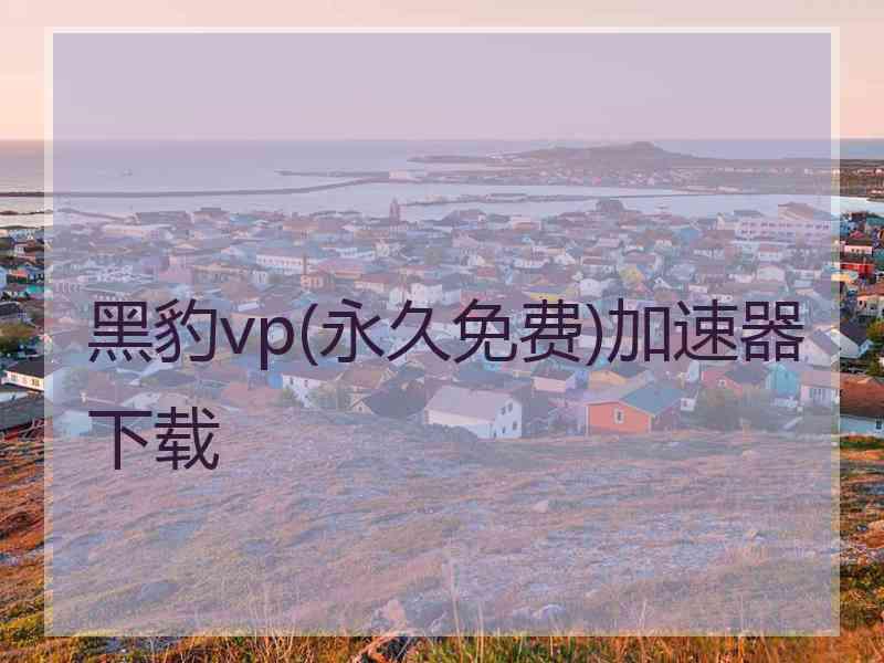 黑豹vp(永久免费)加速器下载