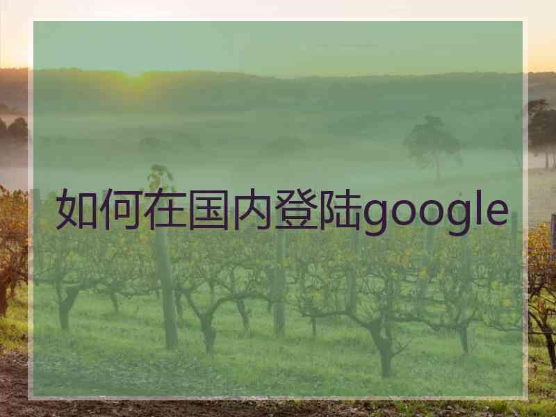 如何在国内登陆google