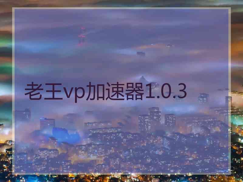 老王vp加速器1.0.3