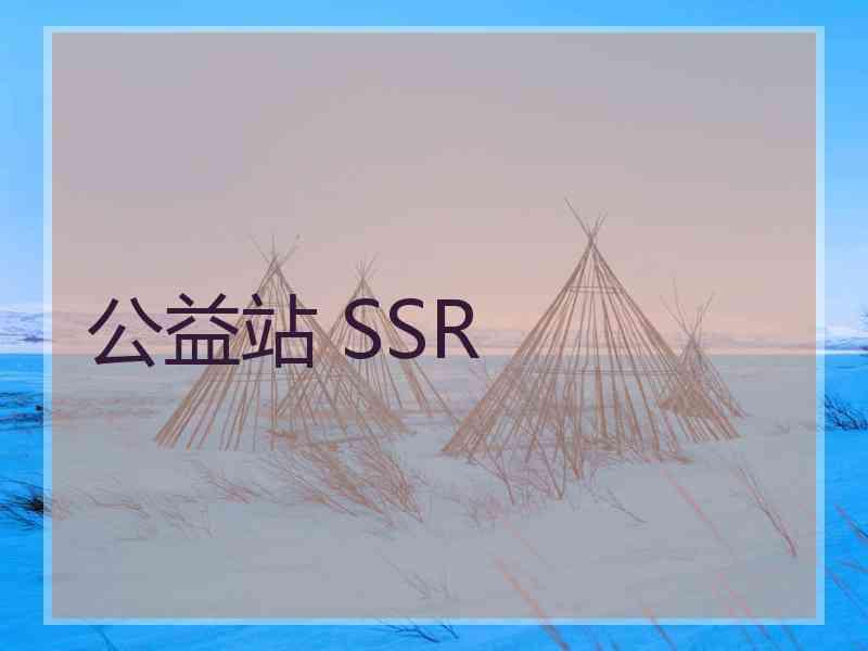 公益站 SSR