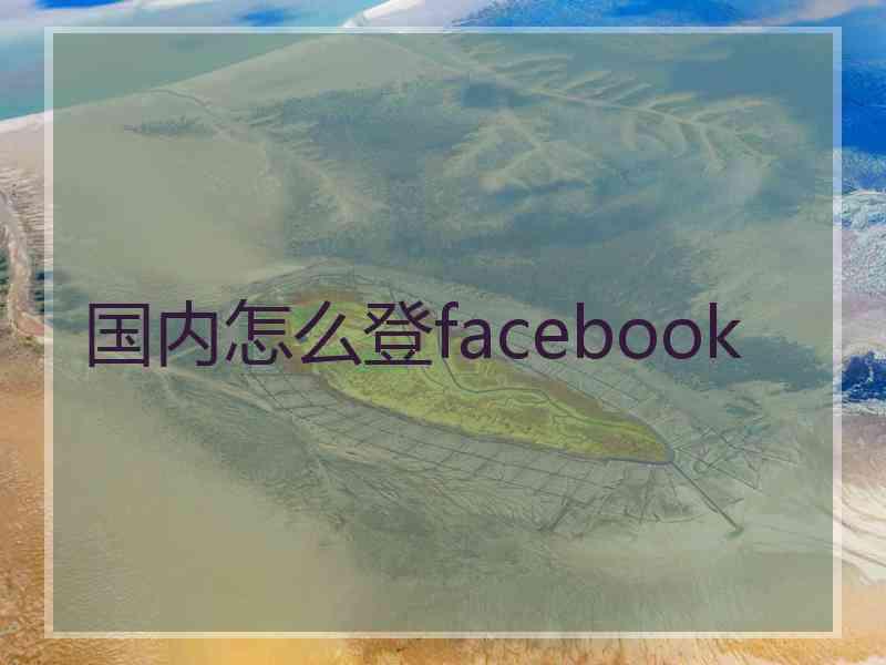 国内怎么登facebook