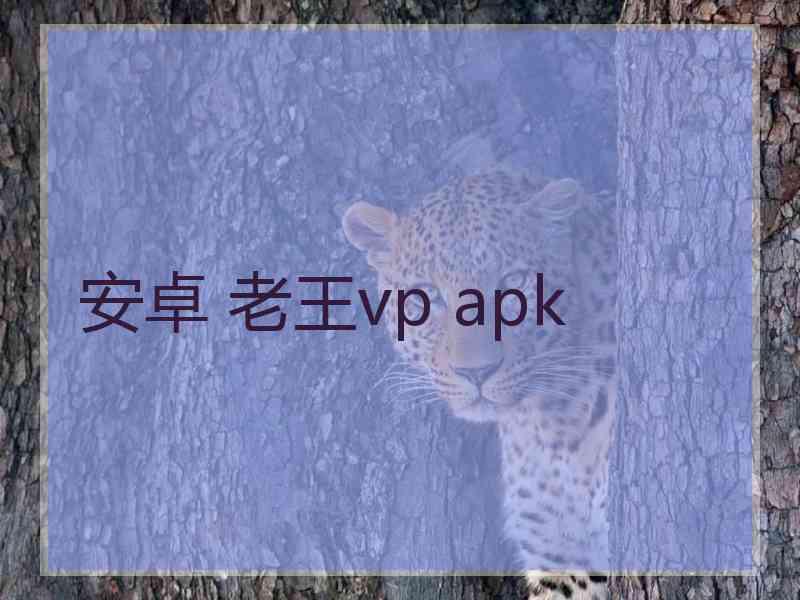 安卓 老王vp apk