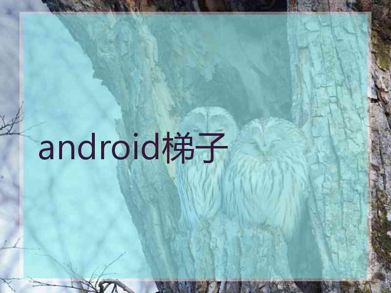 android梯子