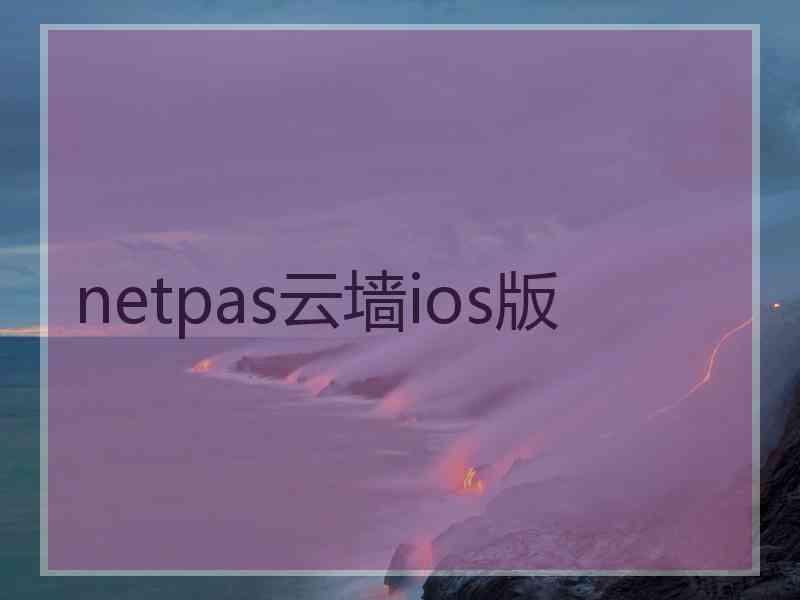 netpas云墙ios版