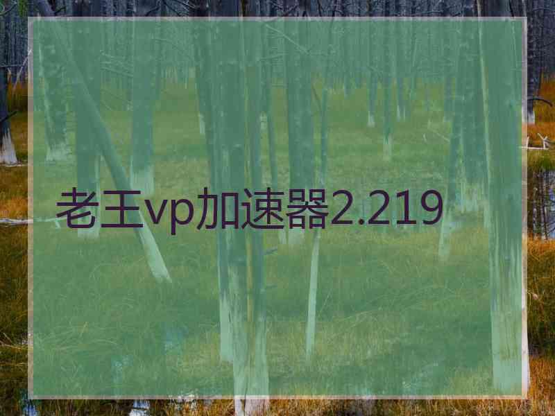 老王vp加速器2.219