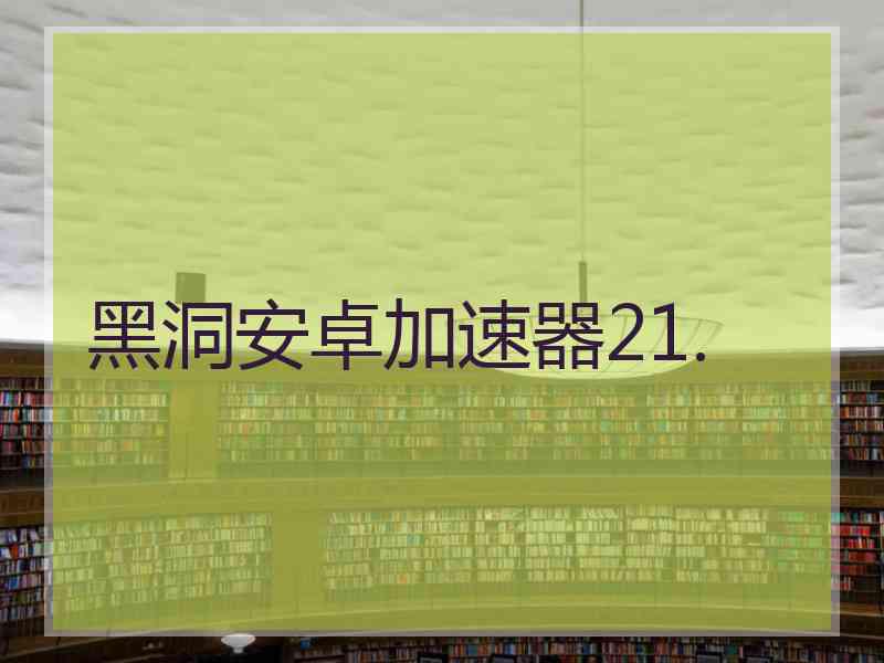 黑洞安卓加速器21.