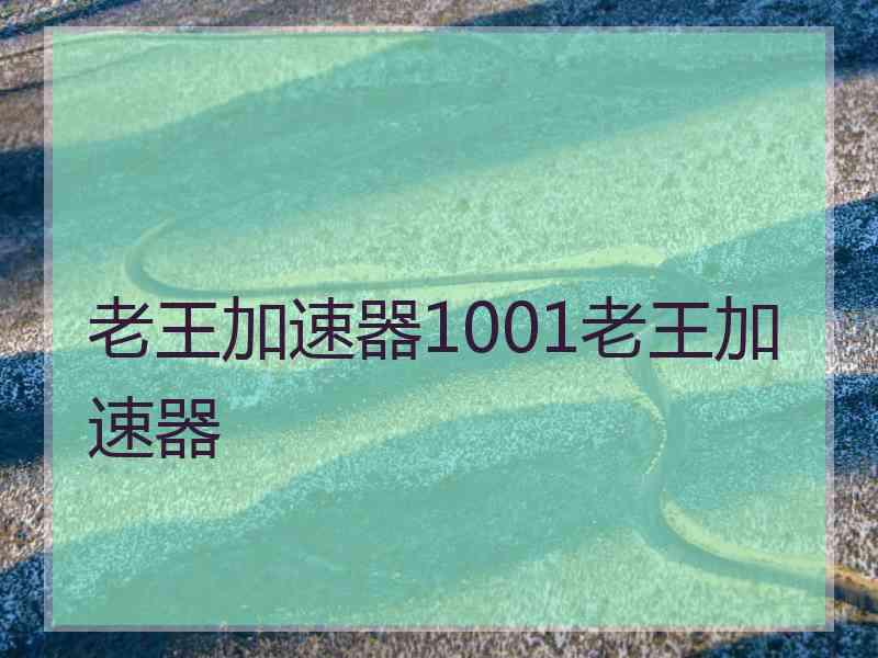 老王加速器1001老王加速器