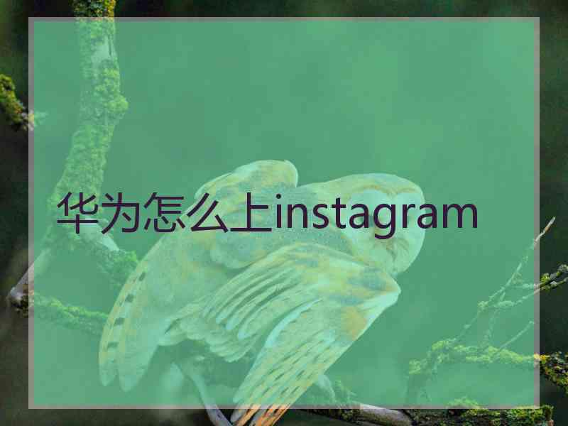 华为怎么上instagram