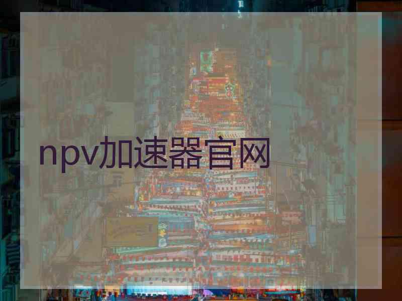 npv加速器官网