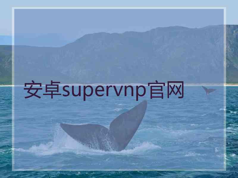 安卓supervnp官网