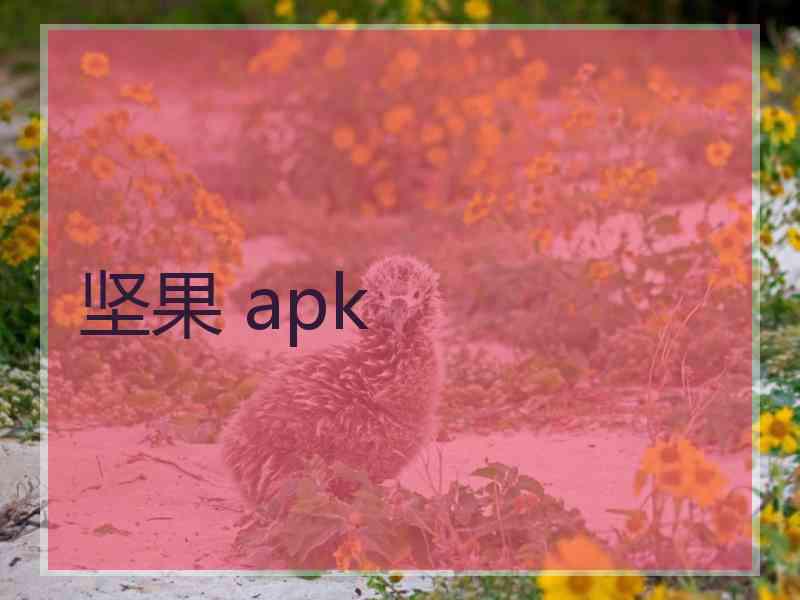 坚果 apk