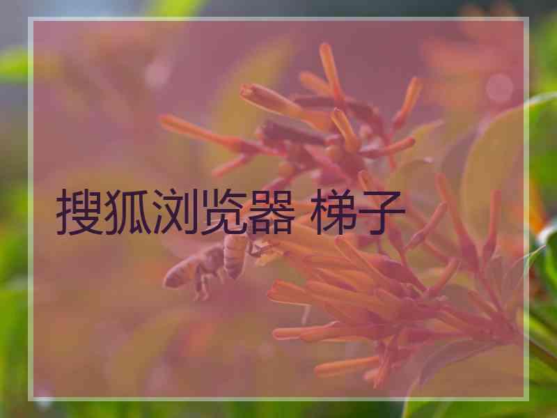 搜狐浏览器 梯子