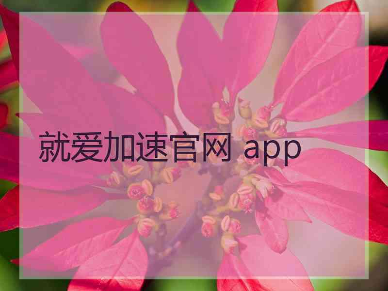 就爱加速官网 app